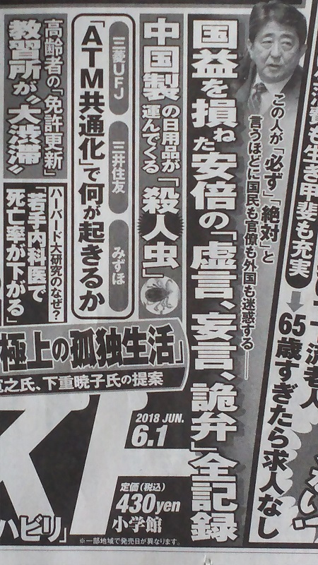 週刊ポスト 広告 政治