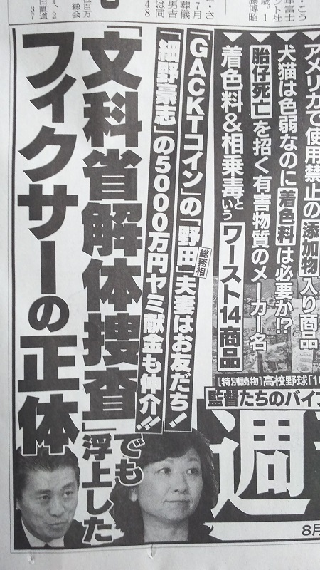 週刊新潮 広告 政治