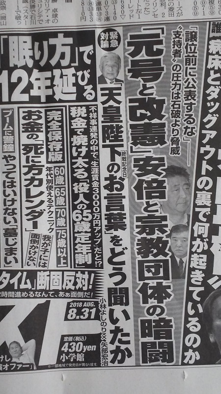 週刊ポスト 広告 政治