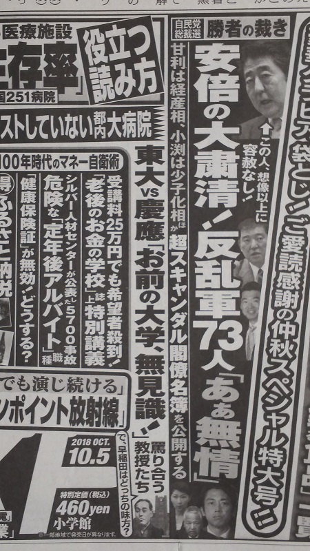 週刊ポスト 広告 政治