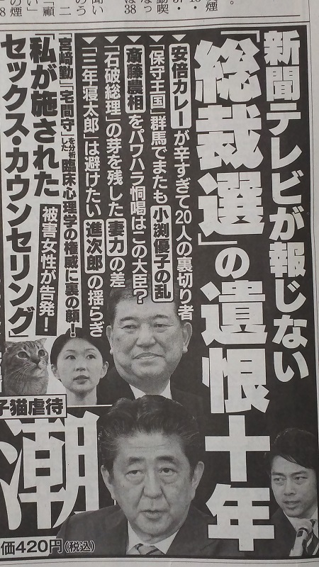 週刊新潮 広告 政治