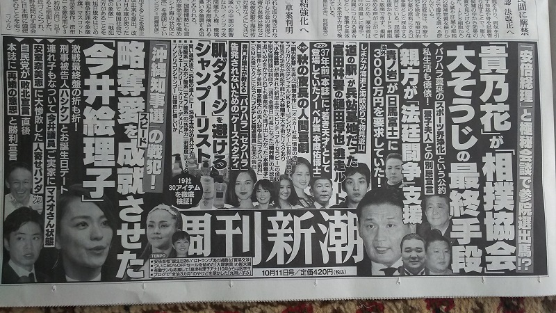 週刊新潮 広告 政治