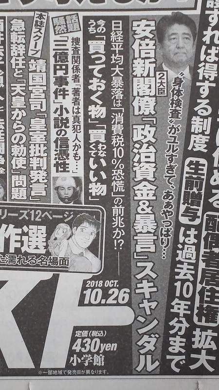 週刊ポスト 広告 政治