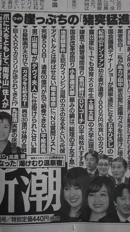 週刊新潮 広告 政治