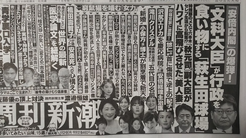週刊新潮 広告 政治