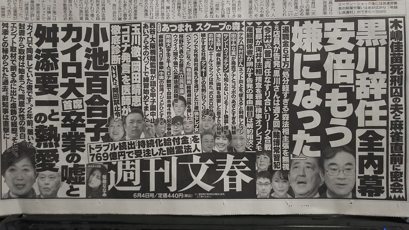 週刊文春 広告 政治