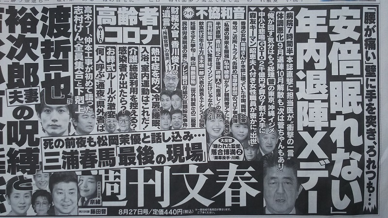 週刊文春 広告 政治