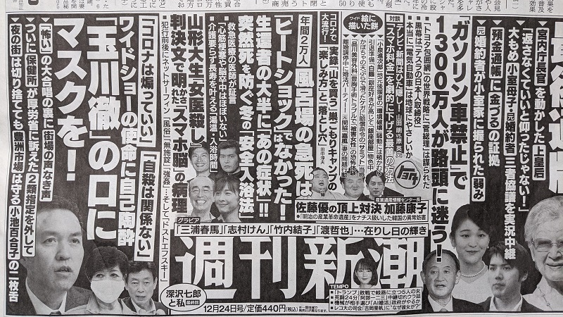 週刊新潮 広告 政治