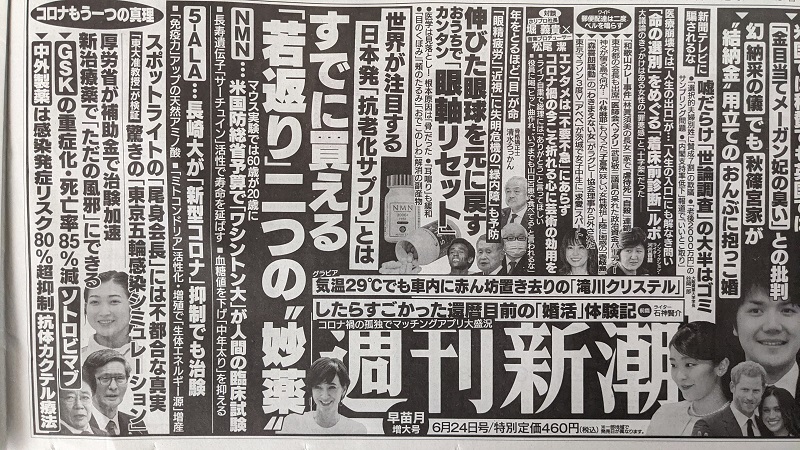 週刊新潮 広告 政治