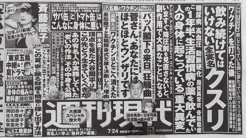 週刊現代 広告 政治