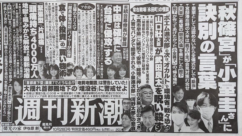 週刊新潮 広告 政治