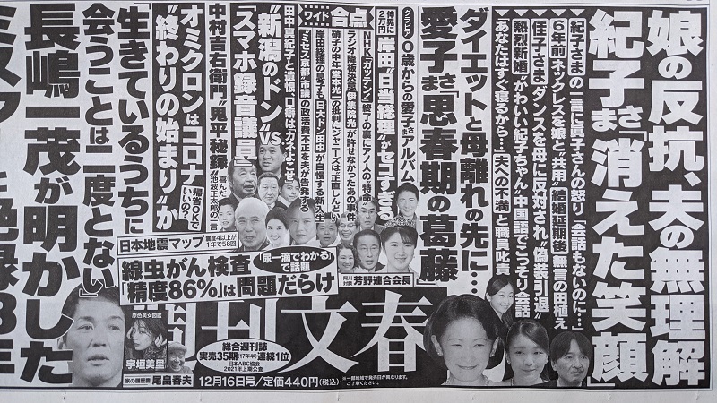 週刊文春 広告 政治