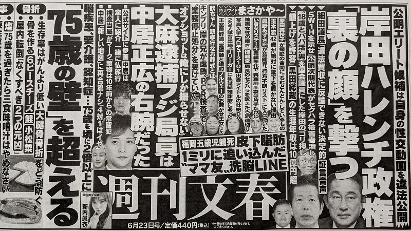 週刊文春 広告 政治