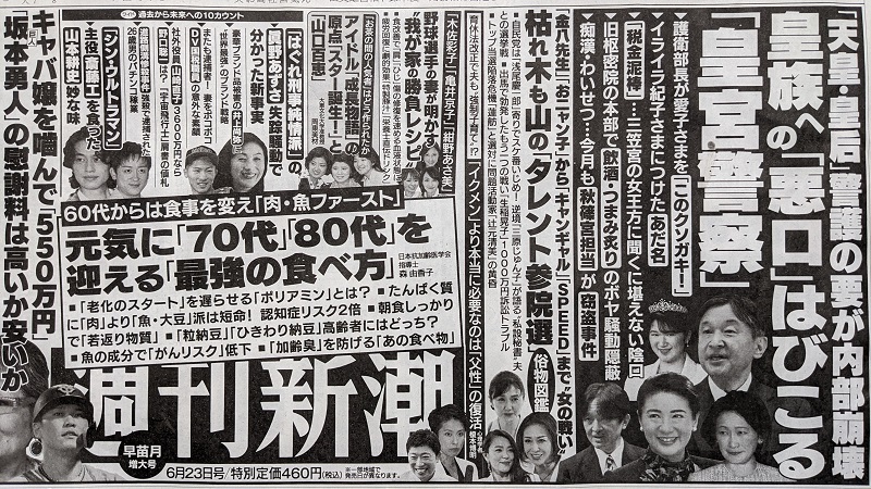 週刊新潮 広告 政治