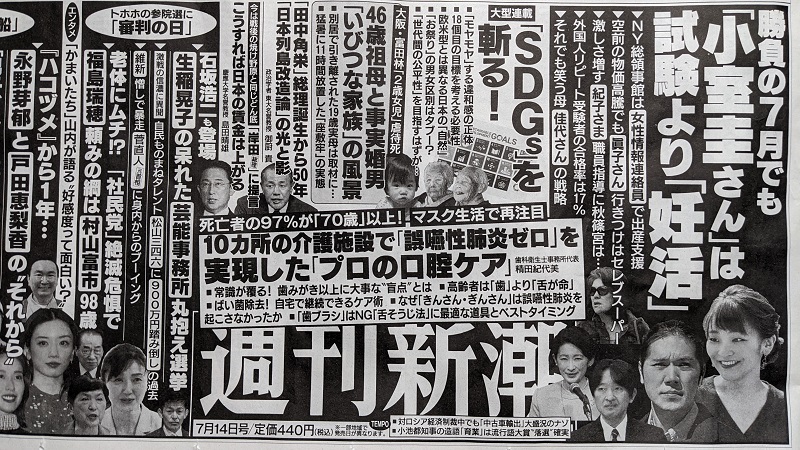 週刊新潮 広告 政治