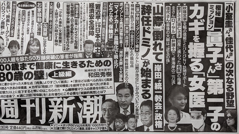 週刊新潮 広告 政治