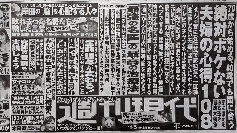 週刊現代 広告 政治