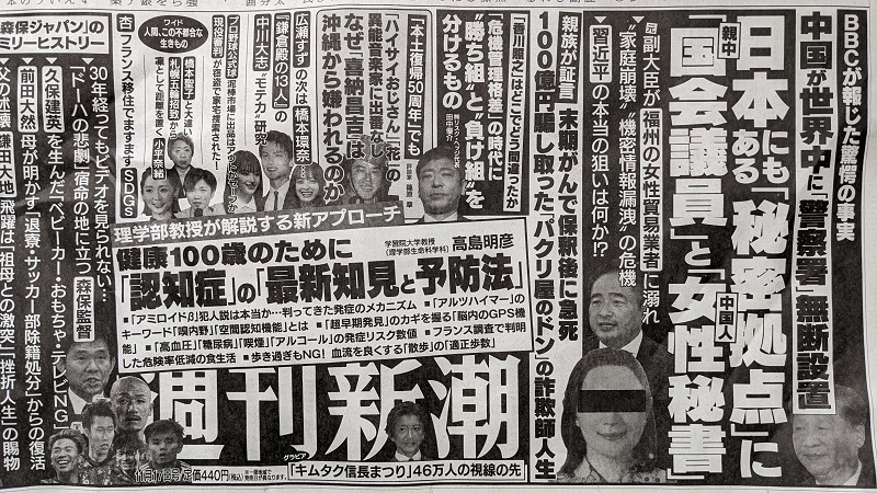 週刊新潮 広告 政治