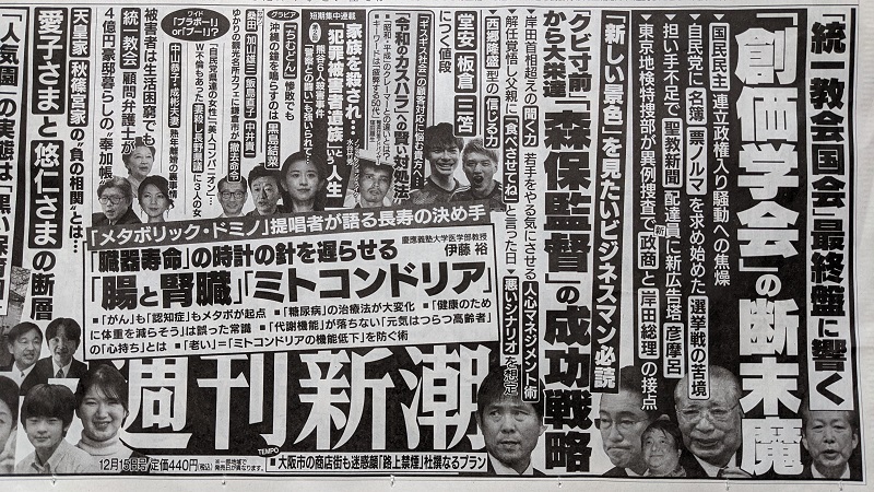週刊新潮 広告 政治