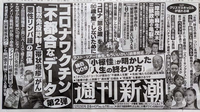 週刊新潮 広告 政治