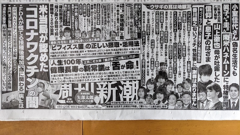 週刊新潮 広告 政治