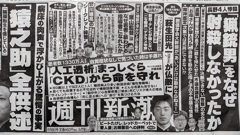 週刊新潮 広告 政治