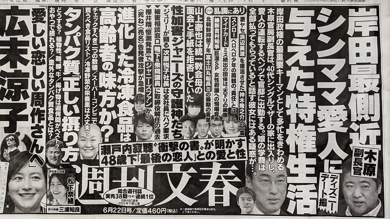 週刊文春 広告 政治