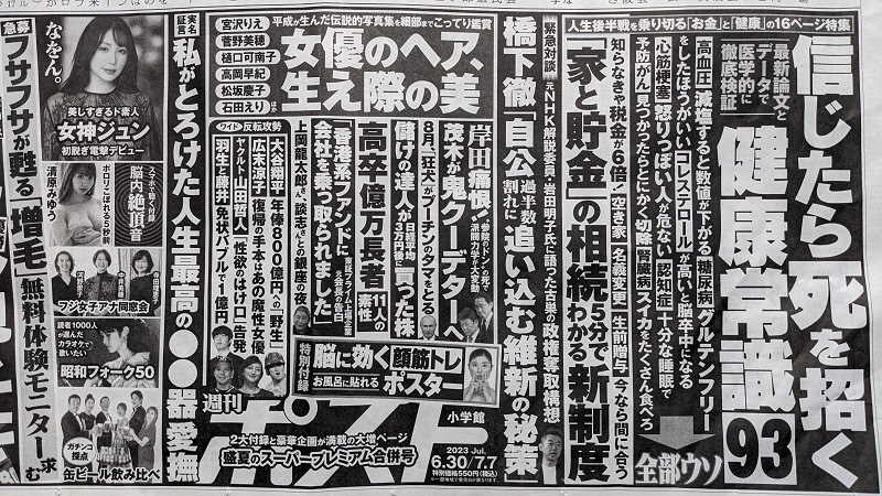 週刊ポスト 広告 政治