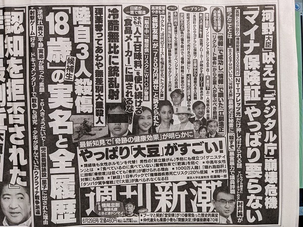 週刊新潮 広告 政治