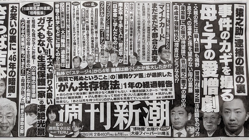 週刊新潮 広告 政治