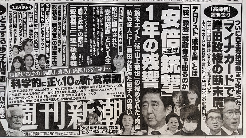 週刊新潮 広告 政治