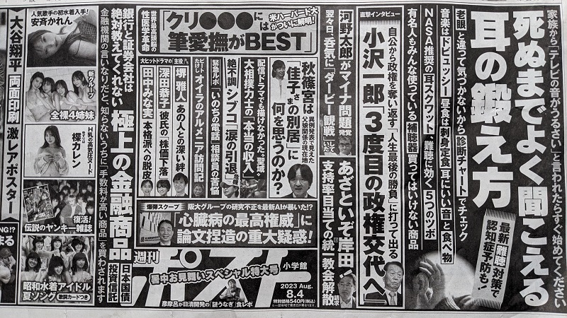 週刊ポスト 広告 政治