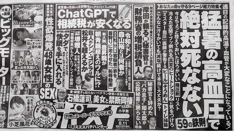 週刊ポスト 広告 政治