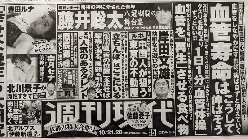 週刊現代 広告 政治