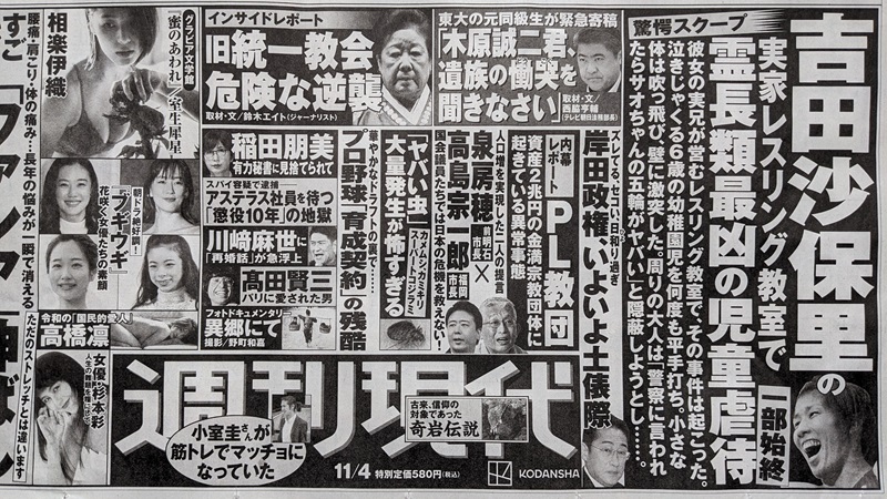 週刊現代 広告 政治