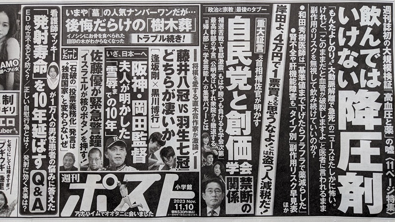 週刊ポスト 広告 政治