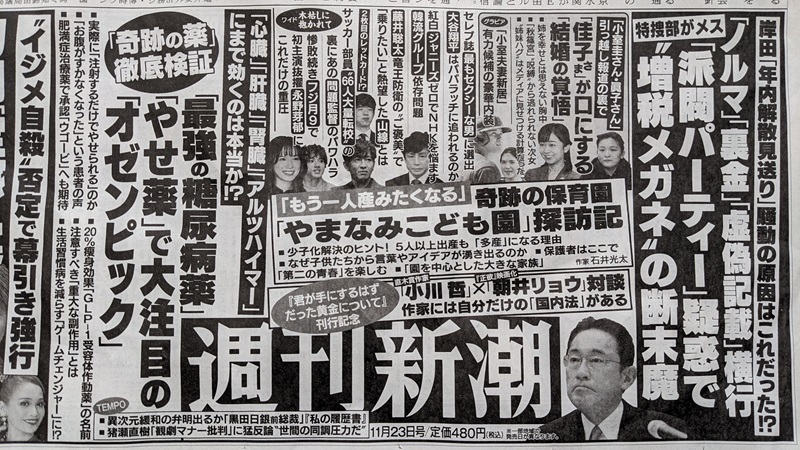 週刊新潮 広告 政治