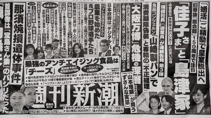 週刊新潮 広告 政治