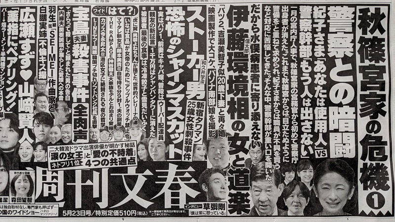 週刊新潮 広告 政治