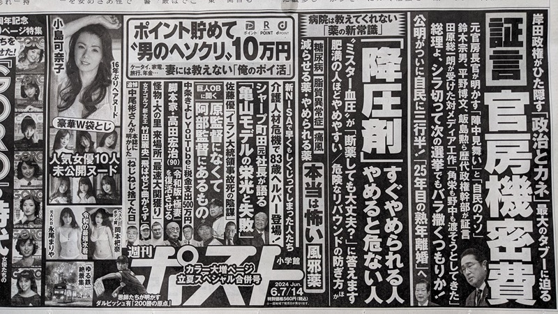週間ポスト 広告 政治