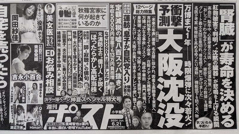 週間ポスト 広告 政治