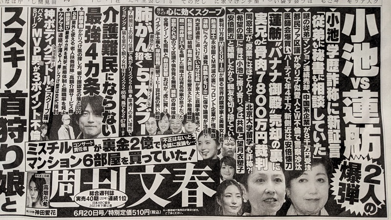 週刊文春 広告 政治