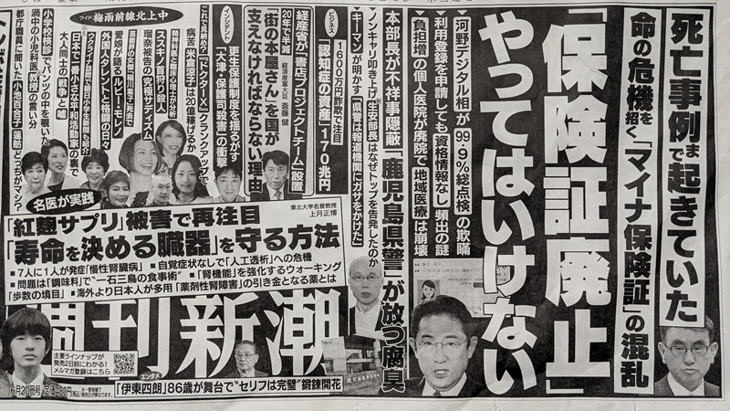 週刊新潮 広告 政治