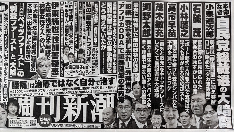 週刊新潮 広告 政治