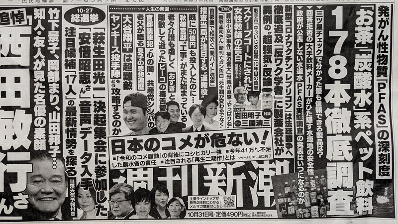 週刊新潮 広告 政治
