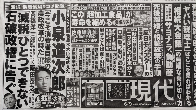 週刊現代 広告 政治