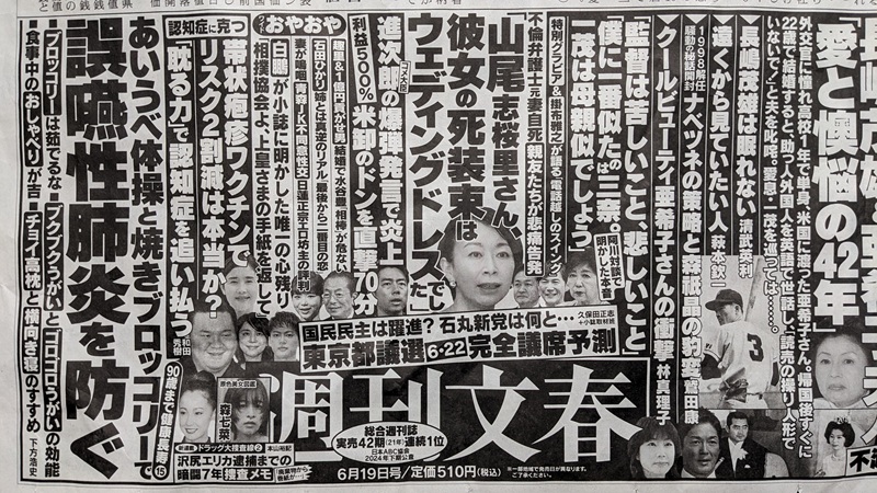 週刊文春 広告 政治