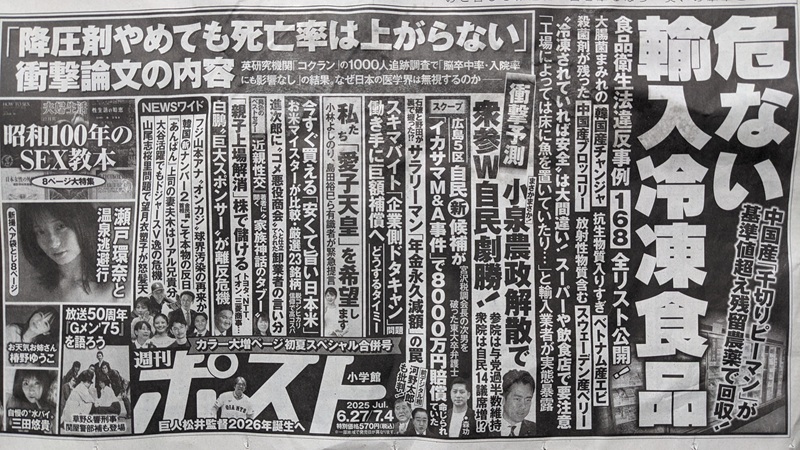 週刊ポスト 広告 政治