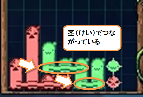 続けて消えるにょき1
