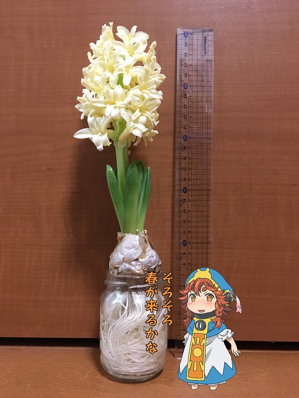 nNCƃ~R` nNC qVX
